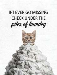 LET1329 - Piles of Laundry Cat - 12x16