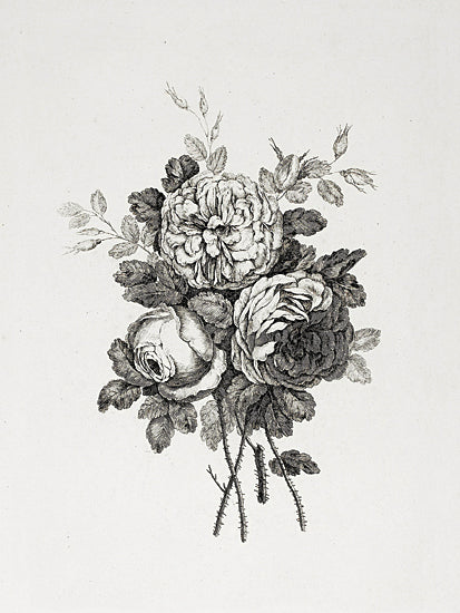 lettered & lined LET1350 - LET1350 - Floral Etching I    - 12x16 flowers, black and white, vintage, botanical, illustration from Penny Lane