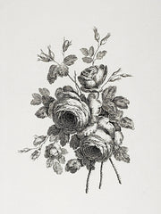 LET1351 - Floral Etching II    - 12x16
