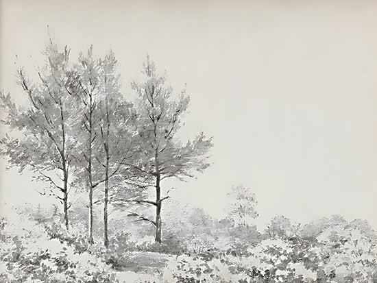 lettered & lined LET1354 - LET1354 - Simple Landscape    - 16x12 trees, black and white, landscape, nature, calm, scenic from Penny Lane