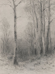 LET1355 - Tree Line Sketch   - 12x16