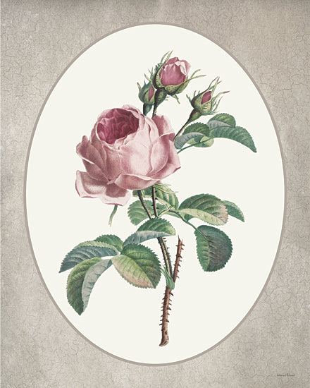 lettered & lined LET1371 - LET1371 - Floral Trio III - 12x16 pink rose botanical print, vintage flower illustration, oval medallion composition, textured neutral green background, detailed rose bloom and buds, antique botanical wall art, romantic floral decor, elegant feminine artwork, classic garden study, soft pastel palette, lettered and lined from Penny Lane