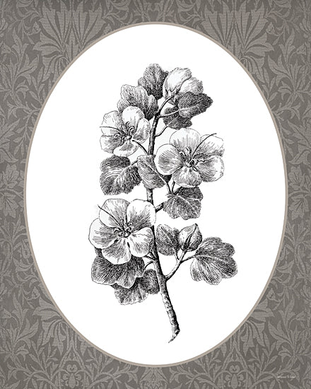 lettered & lined LET1376 - LET1376 - Vintage Botanical II - 12x16 botanical branch illustration, cherry blossom style, floral sketch, black and white engraving, vintage botanical art from Penny Lane