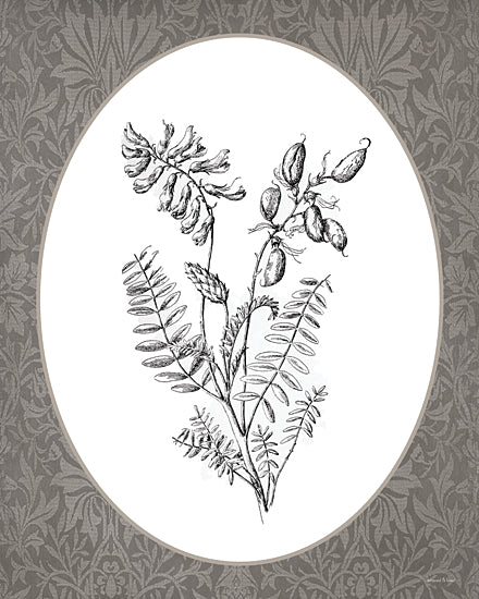 lettered & lined LET1377 - LET1377 - Vintage Botanical III - 12x16 wildflower botanical drawing, seed pods, detailed plant illustration, vintage etching style, neutral tones from Penny Lane
