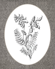 LET1377 - Vintage Botanical III - 12x16