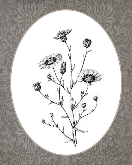 lettered & lined LET1378 - LET1378 - Vintage Botanical IV - 12x16 daisy wildflower sketch, botanical illustration, black ink drawing, cottage style floral art from Penny Lane