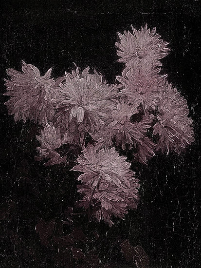 lettered & lined LET1386 - LET1386 - The Dark Bouquet   No Artist Sig - 12x16 dark floral composition, moody flower painting, textured brush strokes, dramatic still life from Penny Lane