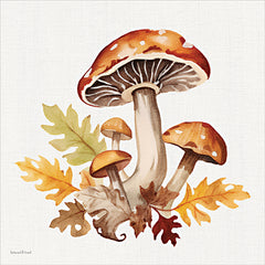 LET1617 - Fall Mushrooms 1 - 12x12