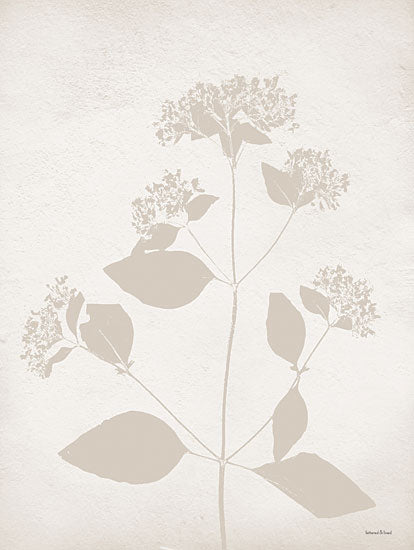 lettered & lined LET572 - LET572 - Floral Silhouette I - 12x16 neutral silhouette floral print, botanical sketch, minimalist nature art, pressed flower look, soft earth tones from Penny Lane