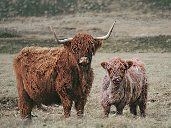 lettered & lined LET635 - LET635 - Highland Watch - 24x18 highland cows, mother and calf, grassy field, rural farm animal photography, long hair cows, Scotland nature from Penny Lane