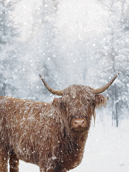 Lux + Me Designs LUX1090 - LUX1090 - Icy Highland - 12x16 highland cow, shaggy cow, snowy portrait, winter farmhouse decor, rustic animal art, frosty fur, horns, snowflakes, cold weather, country wall art, brown cow, neutral winter tones, farm life, cozy cabin style, photographic animal print from Penny Lane