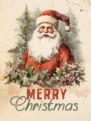 LUX1132 - Merry Christmas Vintage Santa - 12x16