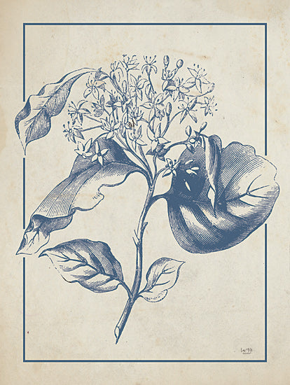 Lux + Me Designs LUX851 - LUX851 - Dogwood Bloom - 12x16 botanical print, blue ink floral, vintage style, elegant flower art, sketch leaves, classic decor from Penny Lane