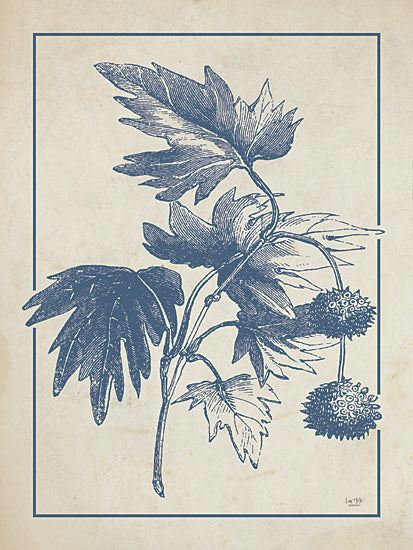 Lux + Me Designs LUX852 - LUX852 - Old World Sycamore - 12x16 botanical sketch, vintage leaves, monochrome nature art, blue ink print, traditional decor, classic from Penny Lane