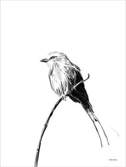 MAT229 - Perched - 12x16