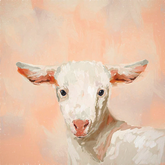 Molly Mattin MAT235 - MAT235 - This Little Lamb   - 12x12 lamb portrait, pink background, soft pastel tones, expressive baby sheep, painted animal portrait, lamb face close-up, gentle brush strokes, farm animal art from Penny Lane