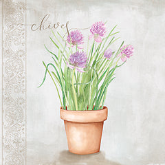 MOL2887 - Chives - 12x12