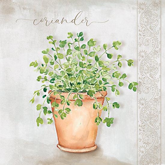 Mollie B. MOL2888 - MOL2888 - Coriander - 12x12 coriander herb, watercolor plant, terracotta pot, garden inspired kitchen art, green foliage, culinary herb illustration from Penny Lane