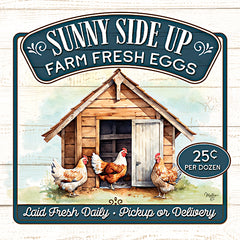 MOL2929 - Sunny Side Up Farm Fresh Eggs - 12x12