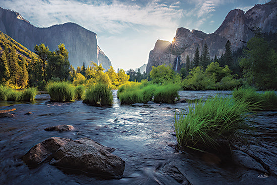 Martin Podt MPP1088 - MPP1088 - Yosemite Valley - 18x12 river, Yosemite National Park, scenic mountains, lush greenery, blue sky, outdoor adventure from Penny Lane