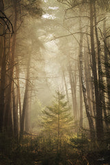 MPP1098 - The Little Things - 12x18