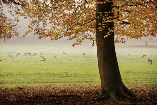 Martin Podt MPP1136 - MPP1136 - Peaceful Autumn Day - 18x12 autumn field, deer grazing, foggy morning, large tree, fall foliage, peaceful wildlife scene, misty park, earthy tones from Penny Lane