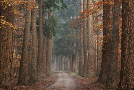 Martin Podt MPP1140 - MPP1140 - Autumn Pathway - 18x12 autumn forest, red and orange leaves, dirt road, pine trees, seasonal change, moody atmosphere, deep woods, colorful foliage, scenic drive, serene landscape from Penny Lane