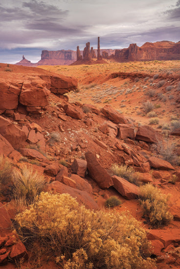 Martin Podt MPP1148 - MPP1148 - Out West - 12x18 red rock desert, towering spires, dry landscape, arid wilderness, rugged terrain, scenic beauty, southwest America, historic geology, sandstone formations, expansive view from Penny Lane