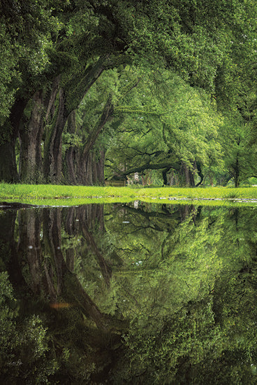 Martin Podt MPP1178 - MPP1178 - The Green Eye - 12x18 reflections, oak trees, green forest, water reflection, serene nature, deep woods, calm atmosphere, peaceful setting from Penny Lane