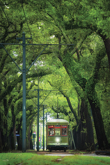 Martin Podt MPP1180 - MPP1180 - St. Charles Streetcar - 12x18 green streetcar tram under trees, historic trolley transport, tree tunnel city street, urban greenery scene from Penny Lane