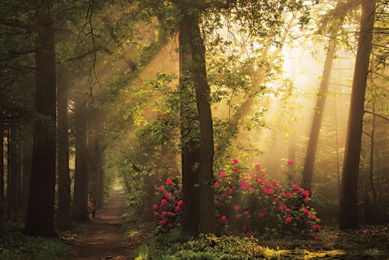 Martin Podt MPP1187 - MPP1187 - Fairytale Lane - 18x12 sunlit forest, dreamy woods, rhododendrons in bloom, soft golden light, magical pathway, enchanted landscape from Penny Lane