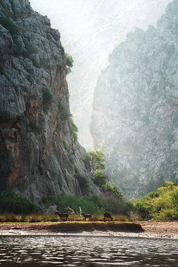 Martin Podt MPP1195 - MPP1195 - Stony Gorge - 12x18 rocky canyon, wild goats, morning mist, cliffs, dramatic nature, serene wilderness, animals in habitat, remote landscape, natural light from Penny Lane