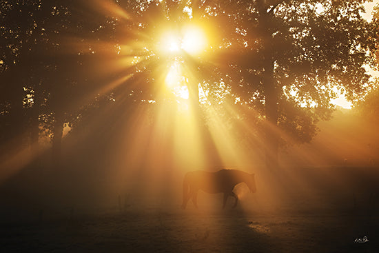 Martin Podt MPP1211 - MPP1211 - Magic of the Morning - 18x12 Nature, sunrise, sunlight, trees, horse, silhouette, golden light, peaceful, photography from Penny Lane