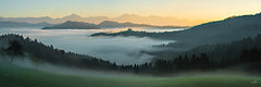 MPP1255 - Serenity in the Mist - 36x12