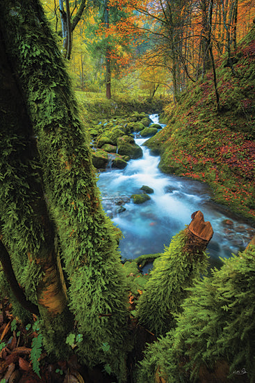 Martin Podt MPP1259 - MPP1259 - Among the Moss - 12x18 forest stream, mossy creek, flowing water, autumn woodland, green moss, vibrant foliage, long exposure water, lush forest, tranquil brook, colorful leaves, natural ravine, scenic wilderness, peaceful streamside, rich green textures, orange and yellow trees, refreshing landscape, serene nature photography, woodland watercourse, enchanted forest feel, outdoor landscape art from Penny Lane