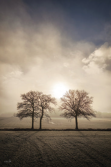 Martin Podt MPP1263 - MPP1263 - On a Winter's Day - 12x18 winter field, three bare trees, sunrise through fog, frosty meadow, backlit landscape, dramatic morning light, cold countryside, misty horizon, tree silhouettes, golden winter sun, serene rural scene, frost covered grass, peaceful dawn, open farmland, atmospheric winter photography, quiet landscape, soft haze, elegant tree grouping, minimalist nature scene, chilly pastoral setting from Penny Lane