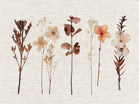 Nicole DeCamp ND640 - ND640 - Pressed Flowers For You I - 16x12 wildflower pressed botanical stems, delicate dried flowers on fabric background from Penny Lane