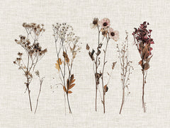 ND641 - Pressed Flowers For You II - 16x12
