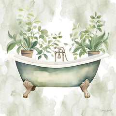 ND651 - Bath Oasis II - 12x12