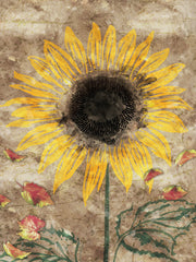 ND716 - Fall Sunflower - 12x16