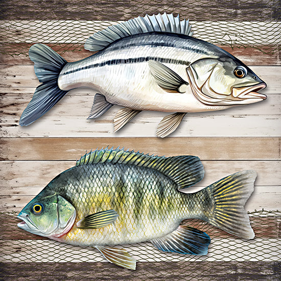 Nicole DeCamp ND787 - ND787 - Lake Life Fish - 12x12 two fish illustration, rustic wooden background, netting, detailed aquatic life, fishing themed art from Penny Lane