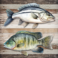 ND787 - Lake Life Fish - 12x12