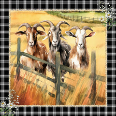 ND891 - The Watchful Goats - 12x12