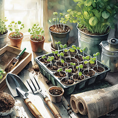 ND936 - Seedlings - 12x12
