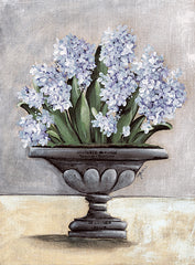 NOR250 - Hyacinth in Urn - 12x16