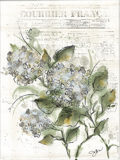 Julie Norkus NOR319 - NOR319 - Daybreak Lilac - 12x16 hydrangeas, vintage newspaper, botanical watercolor, green foliage, french text, rustic floral from Penny Lane