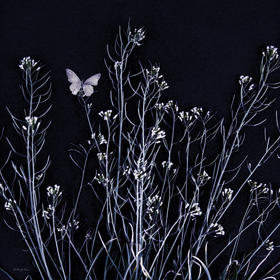 Robin-Lee Viera RLV732 - RLV732 - Butterfly Garden I - 12x12 butterfly, night garden, wildflowers, dark background, ethereal, surreal nature, contrast lighting, blue toned floral from Penny Lane