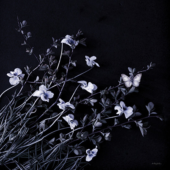 Robin-Lee Viera RLV734 - RLV734 - Butterfly Garden III - 12x12 butterfly, abstract garden, moody nature, twilight flora, dark background, dreamlike composition, minimal botanical from Penny Lane