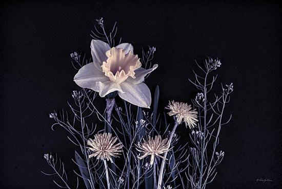 Robin-Lee Viera RLV737 - RLV737 - Spring Gathering III - 18x12 daffodil, wildflowers, artistic floral arrangement, night composition, ethereal plants, black background flower art from Penny Lane
