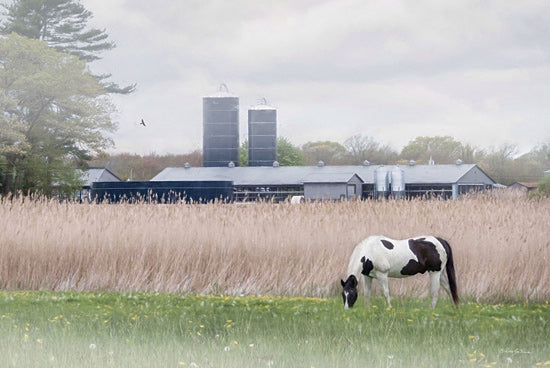Robin-Lee Vieira RLV756 - RLV756 - Paint My Day - 18x12 farm field with horse, barn silos, rural scene, grazing horse, countryside art, serene pasture, rustic lifestyle, equine painting from Penny Lane